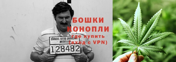 тгк Дмитров
