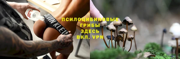 трава Балахна