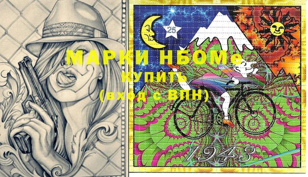 индика Аркадак
