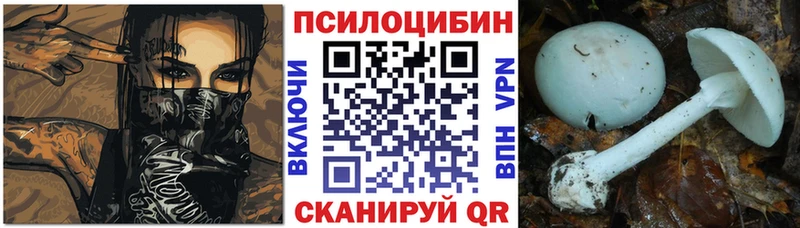 OMG ТОР  Сортавала  Псилоцибиновые грибы прущие грибы 